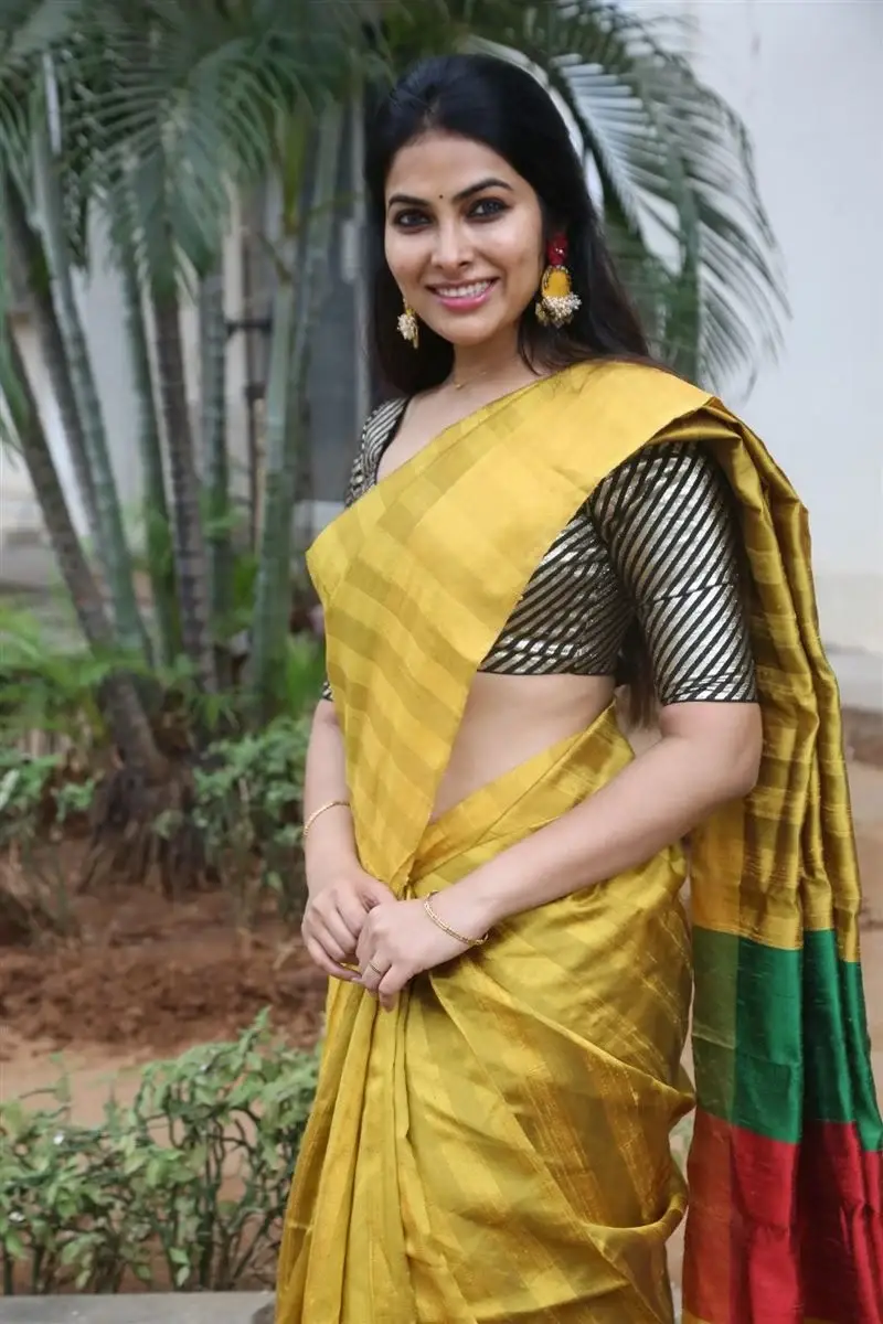 ACTRESS DIVI VADTHYA IN YELLOW SAREE AT LAMBASINGI MOVIE MEET 7